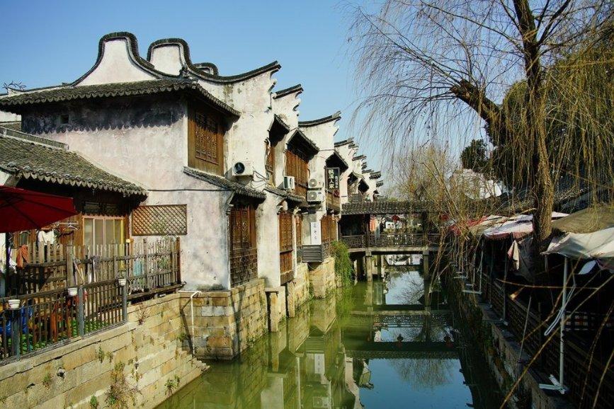 河南扶沟:特色养殖“鸵”起乡村致富梦